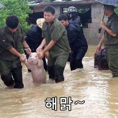 Keywords: ㅎㅎ,해맑